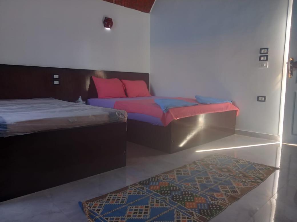 Kafana Guest House Nile View Assouan Extérieur photo
