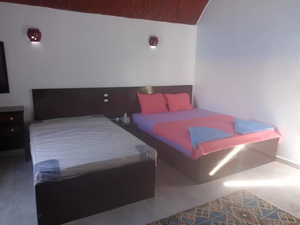Kafana Guest House Nile View Assouan Extérieur photo